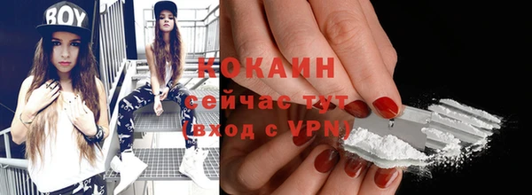 бошки Протвино