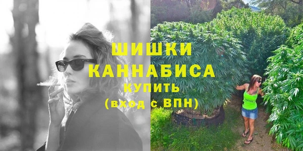 бошки Протвино