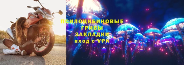 бошки Протвино