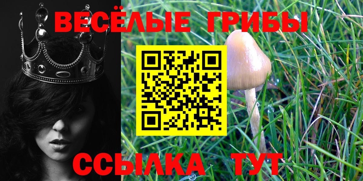 Южноуральск  Галлюциногенные грибы прущие грибы  Галлюциногенные грибы Cubensis  Вход с VPN 