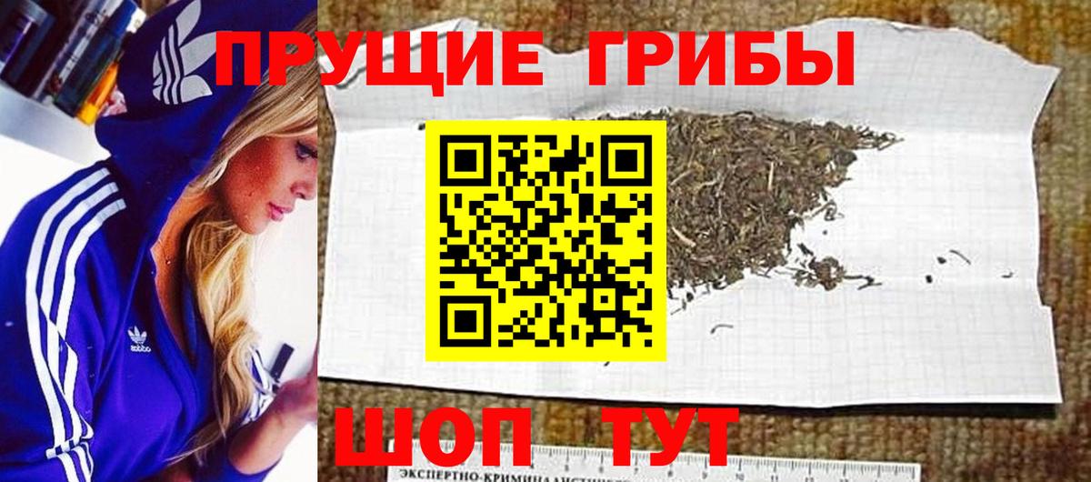 Галлюциногенные грибы мухоморы Южноуральск